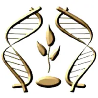 Институт генетики и цитологии Национальной академии наук Беларуси