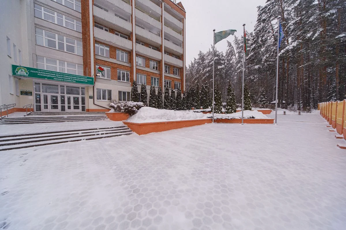 Оздоровительный комплекс Центра подготовки кадров Минлесхоза — фото 3