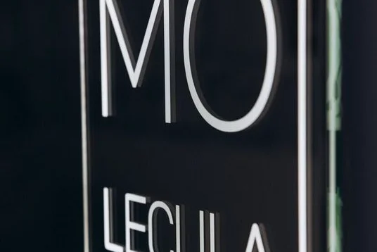 Molecula (Молекула) — фото 4