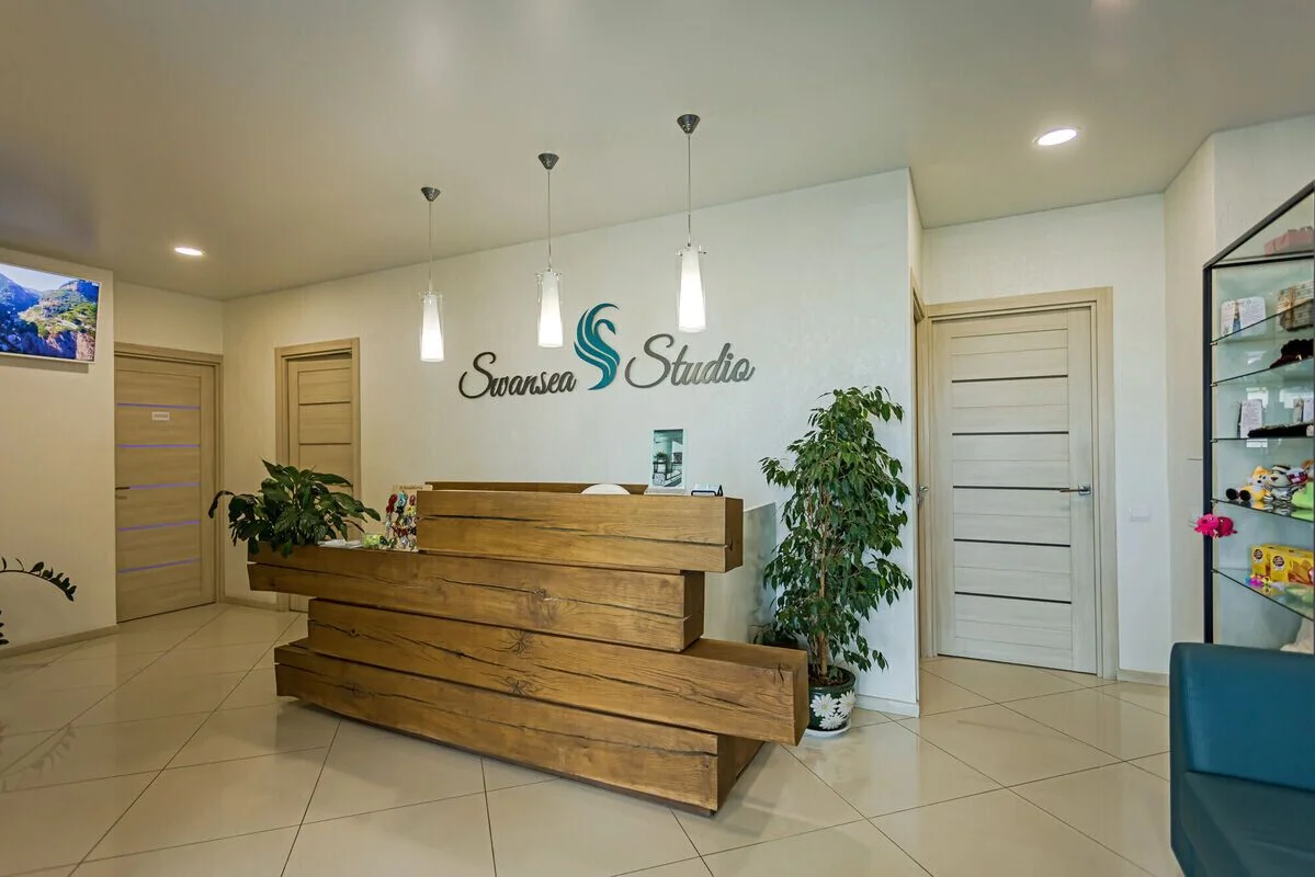 Swansea Studio (Свонси Студио) — фото 2