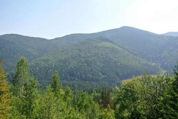 Йога Тайм — фото 3
