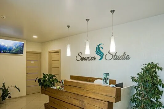 Swansea Studio (Свонси Студио) — фото 1