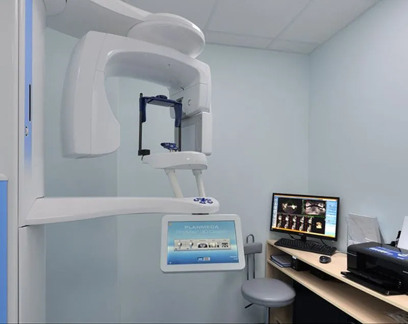 Фото Камелия 2