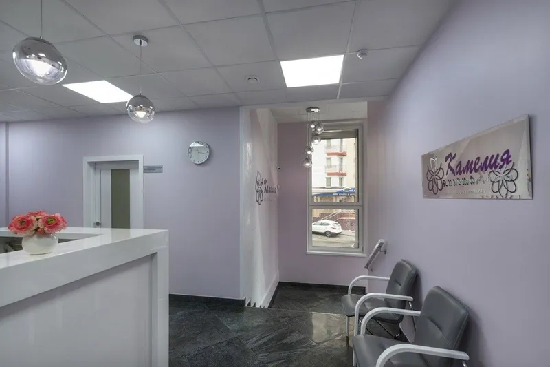 Фото Камелия 4