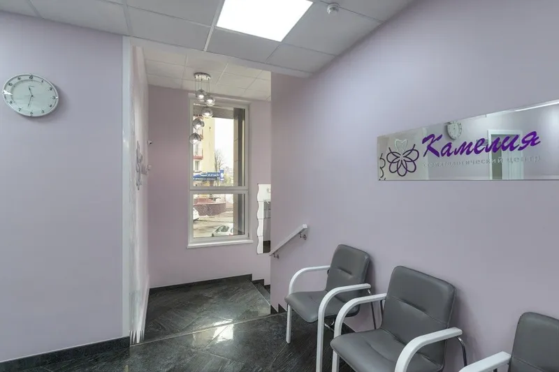 Фото Камелия 5