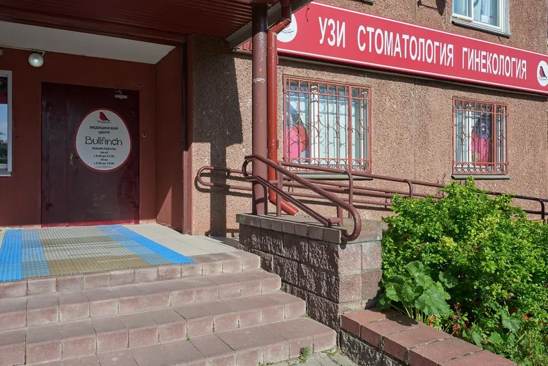 Фото Bullfinch (Буллфинч) 4