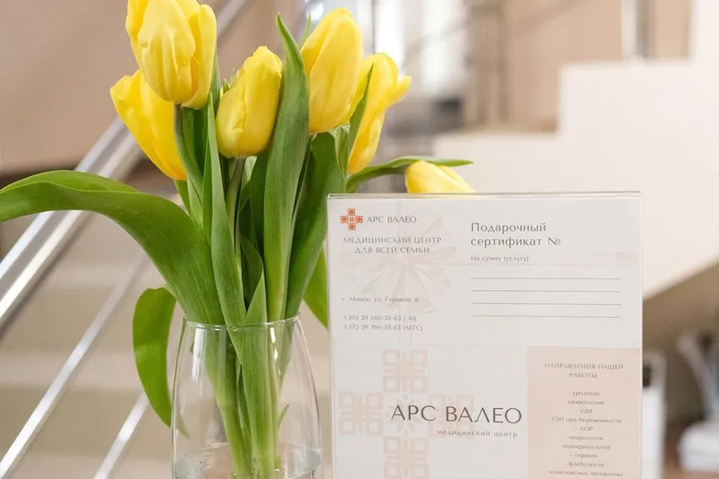 Фото Арс Валео 2