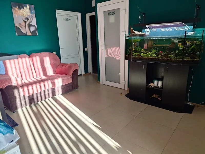 Фото Белый питон 2