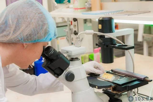 Фото Республиканский Центр Гигиены эпидемиологии и общественного здоровья научно-исследовательского института гигиены, токсикологии, вирусологии, эпидемиологии и микробиологии 4