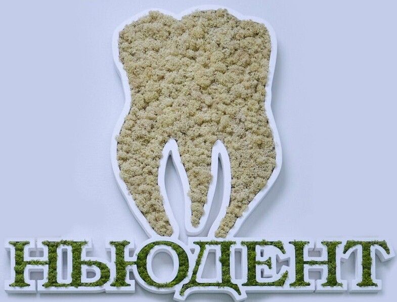 Ньюдент
