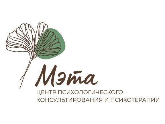МЭТА